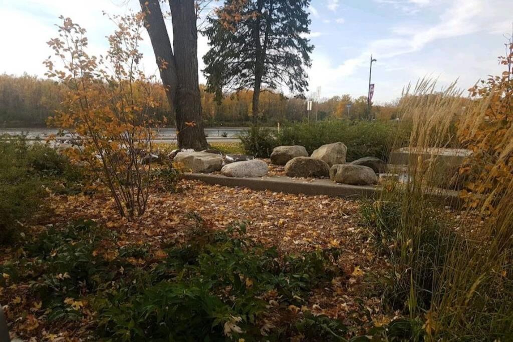 Cozy Sweet Studio #4, Only 10 Min To D.T. Ottawa Gatineau Ngoại thất bức ảnh